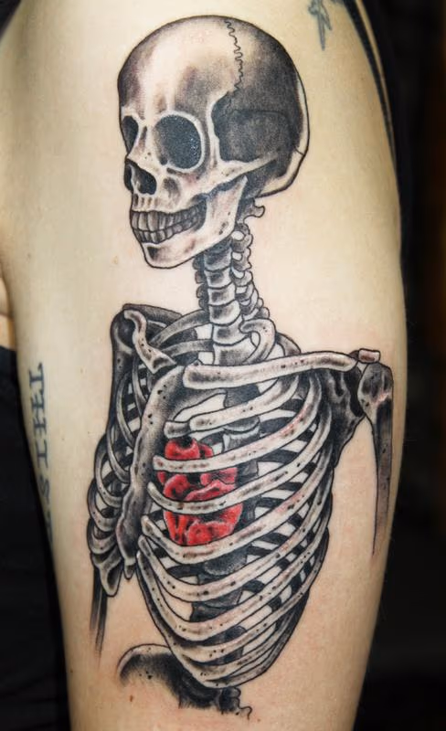 Skeletal torso with a heart