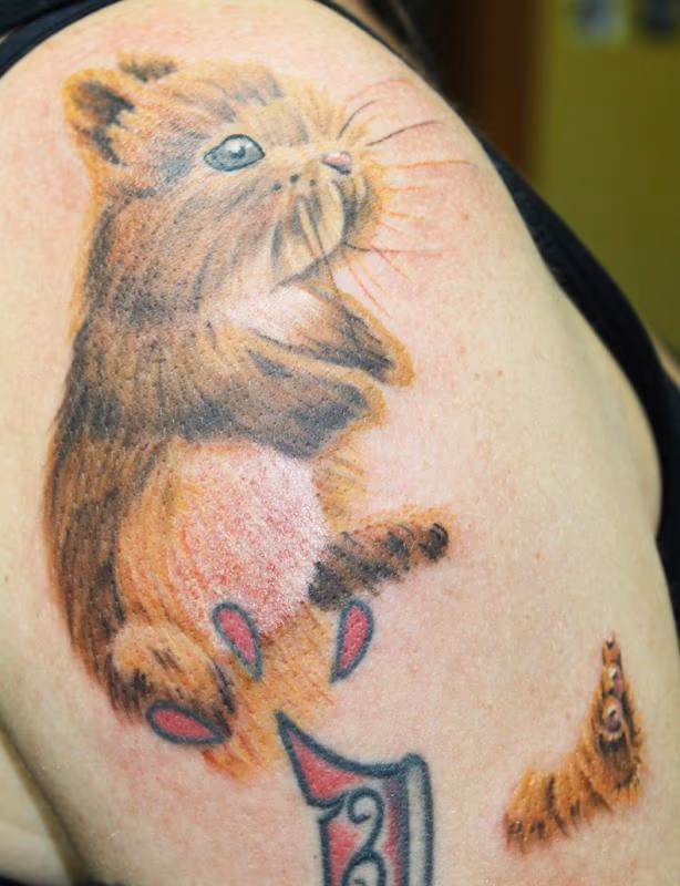 Bunny with severed leg