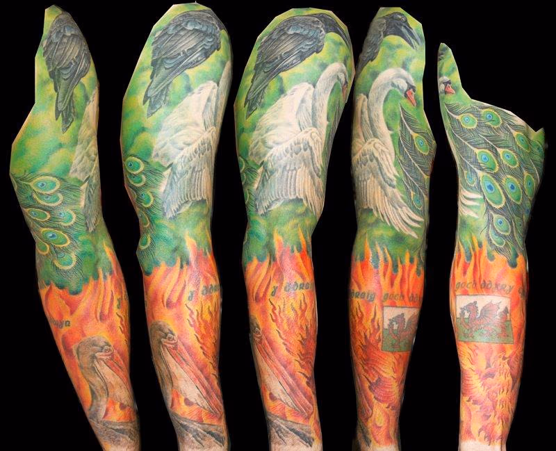 Bird allegory sleeve