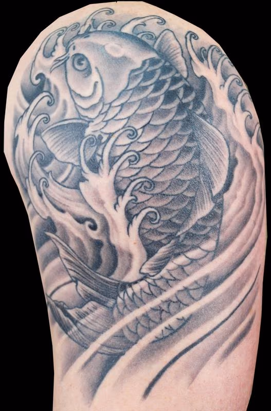 Koi