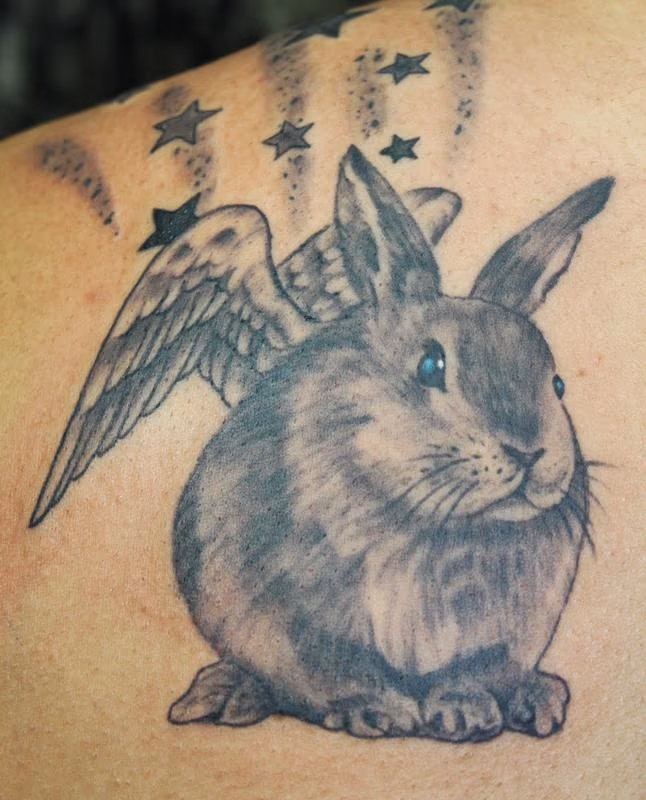 little angel winged bunny