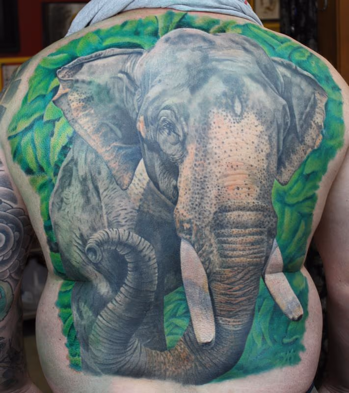 Elephant