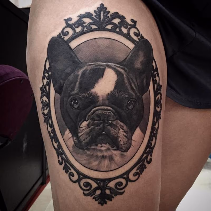 Boston Terrier Tattoo
