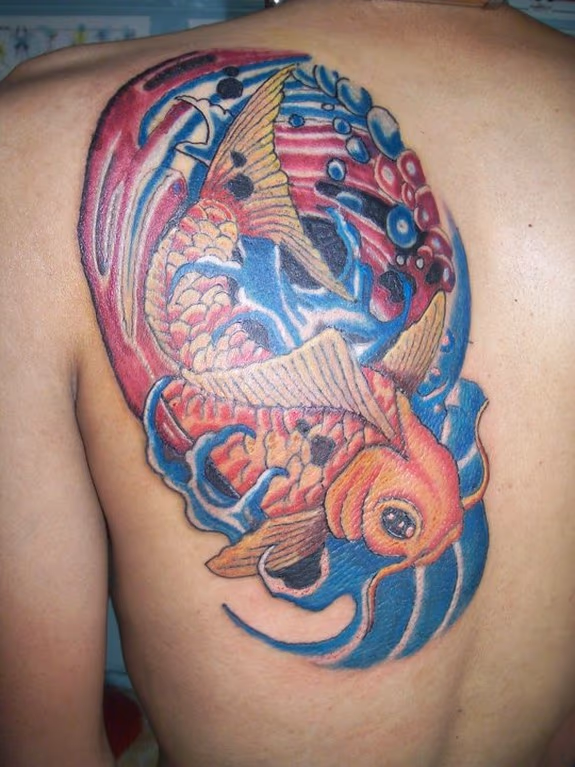 Koi fish tattoo
