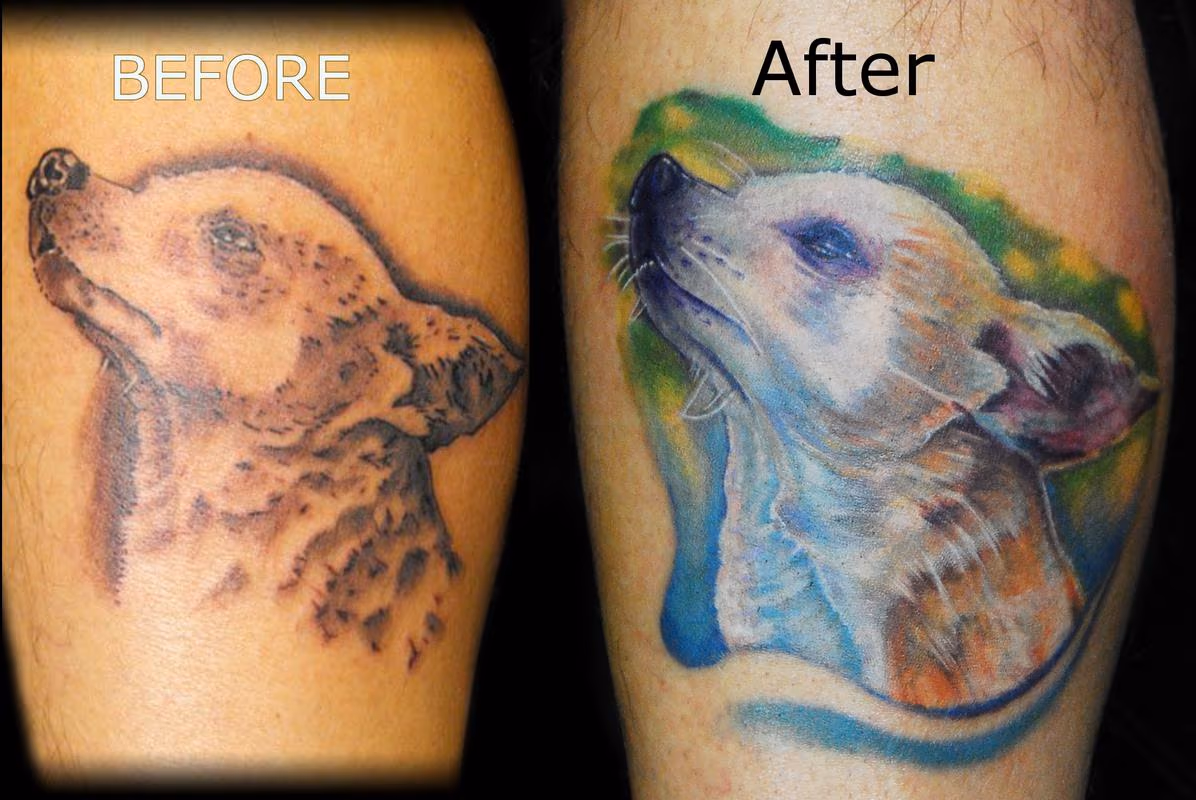 cover up of a chiuaua