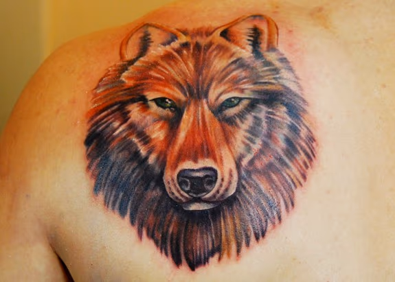 red wolf
