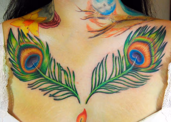 peacock feathers