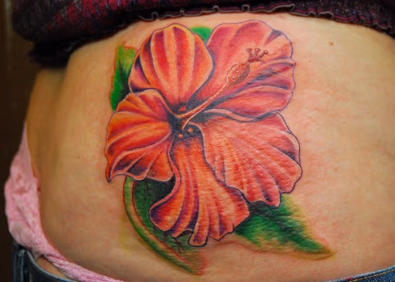 hibiscus