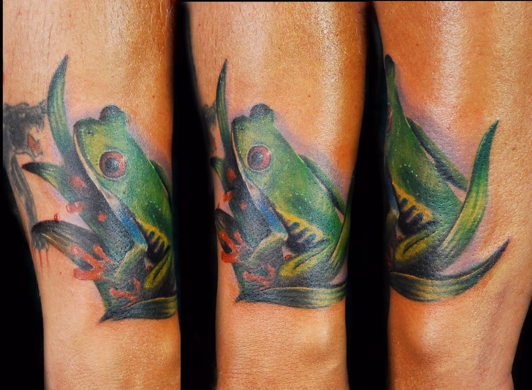 Red Eye Tree Frog
