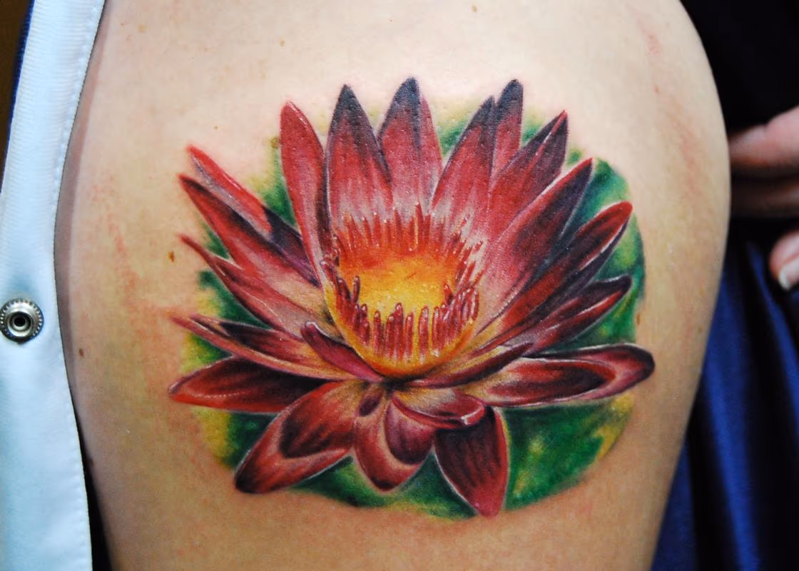 lotus cover up