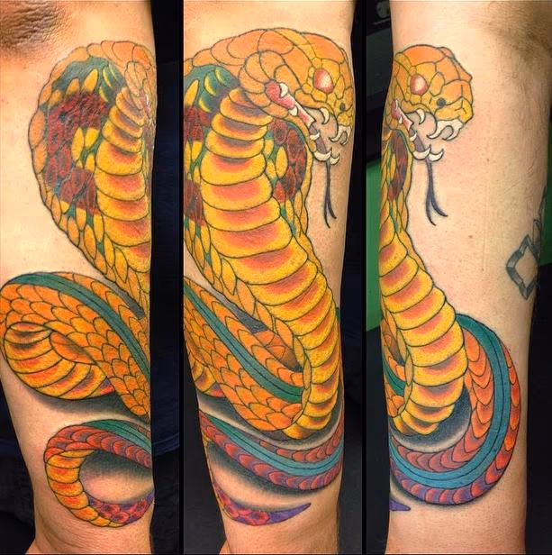 cobra
