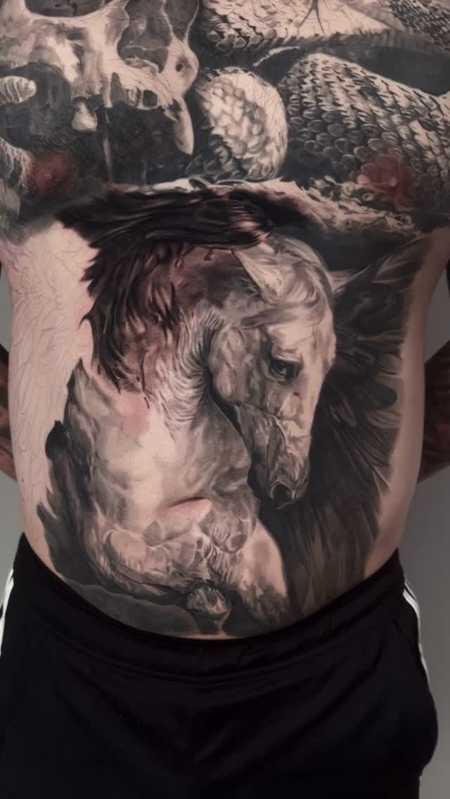 Pegasus portrait chest tattoo, black-and-grey