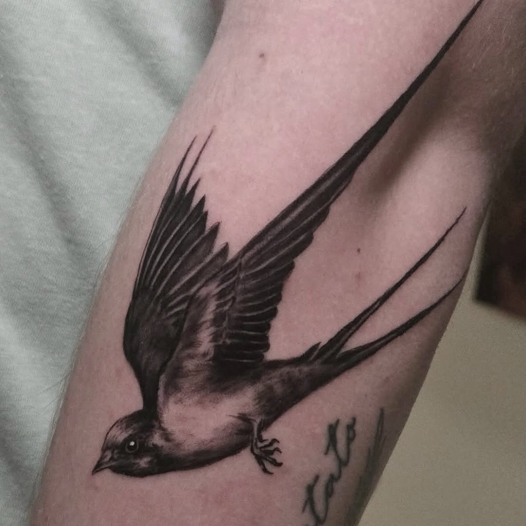 “Tame birds sing of freedom, wild birds fly” John Lennon. Birdie by @luigi.antolinii