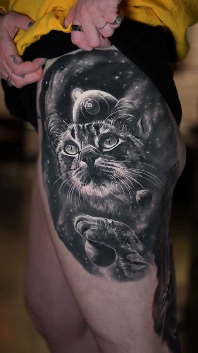Black-and-grey cat portrait with celestial, shoulder