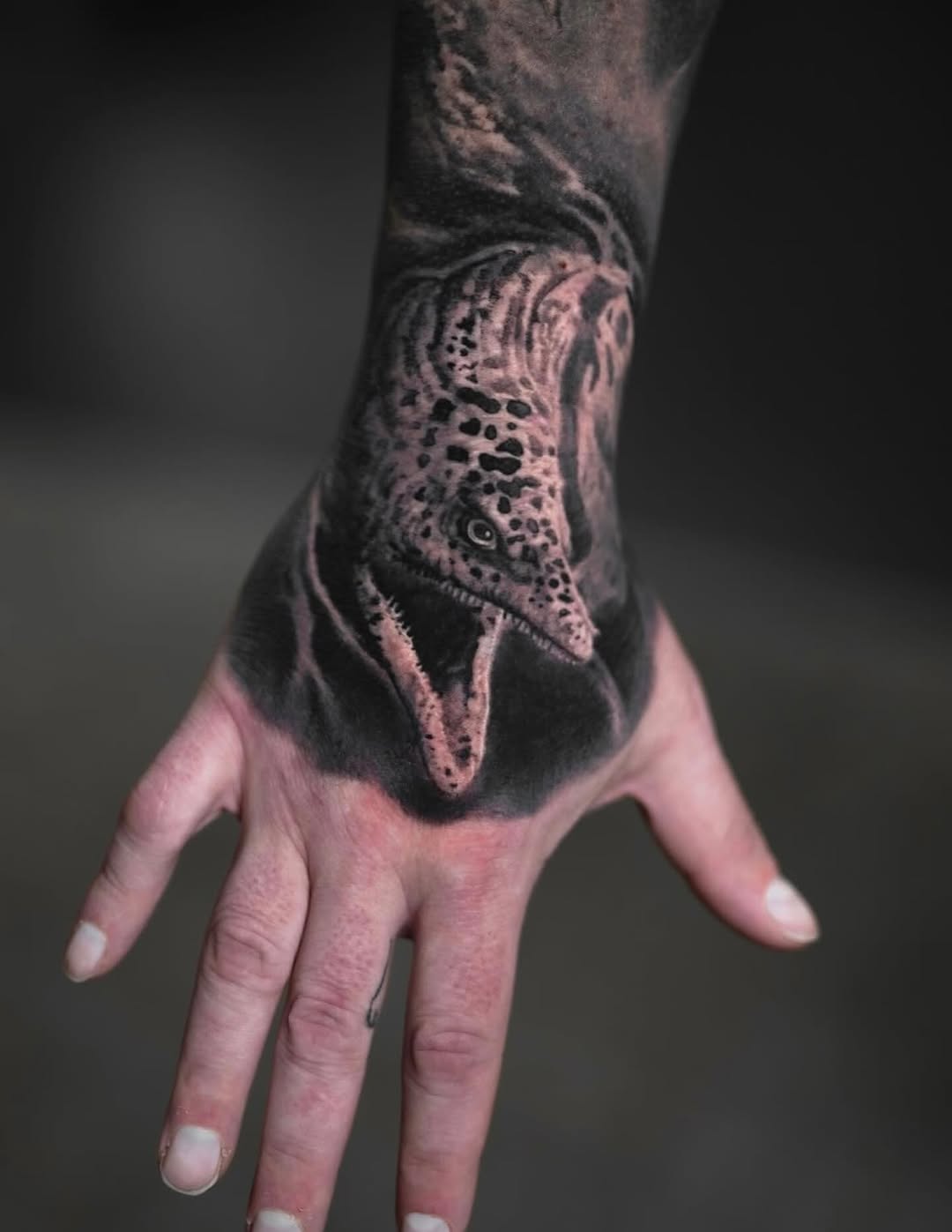 Healed eel by @michaelperryart