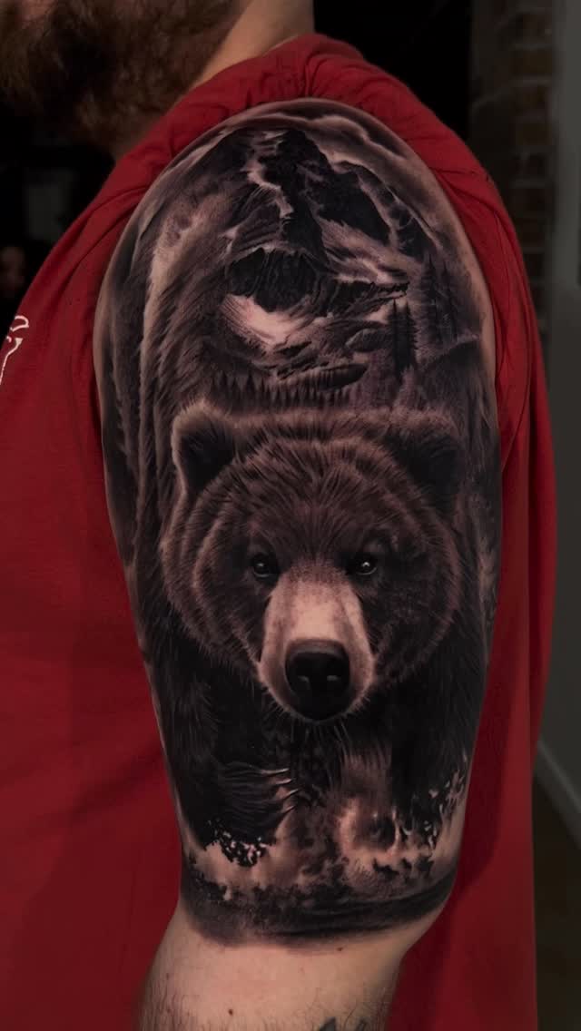 Black-and-grey bear portrait, shoulder