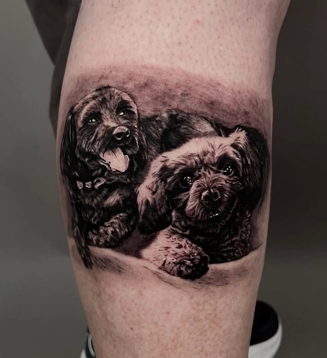 #TBT Puppy oortraits by @donny_dxnko