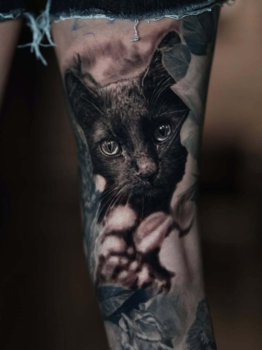 Black-and-grey cat portrait, thigh