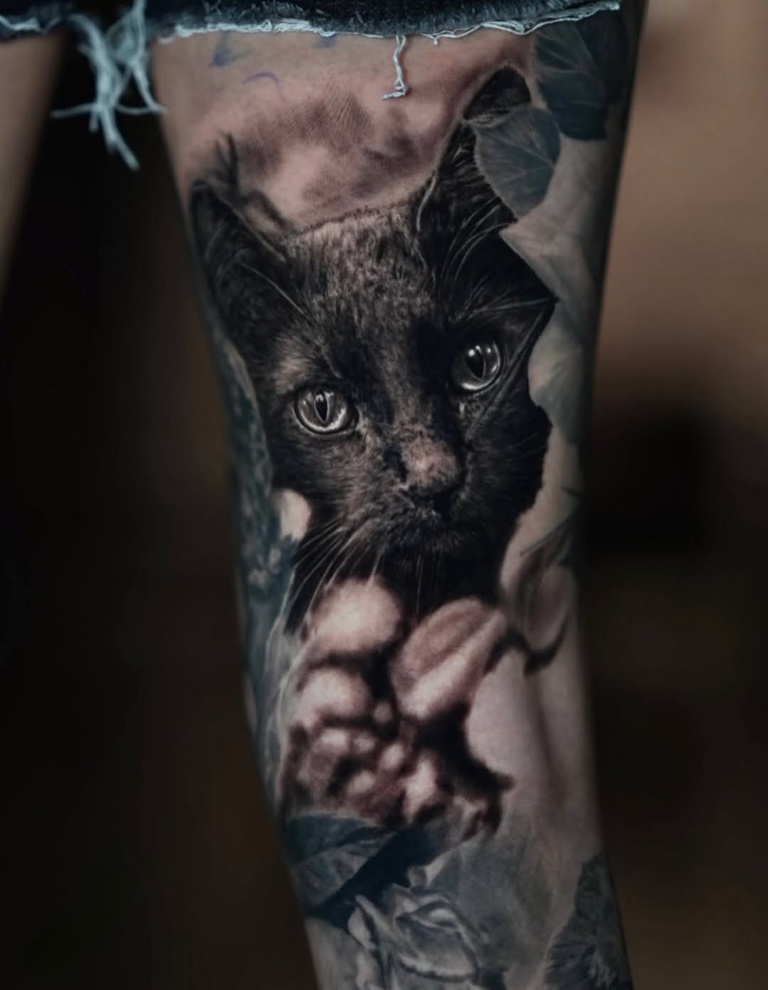 Listen here, meow. More cats in 2026. @zach.the.ripperr