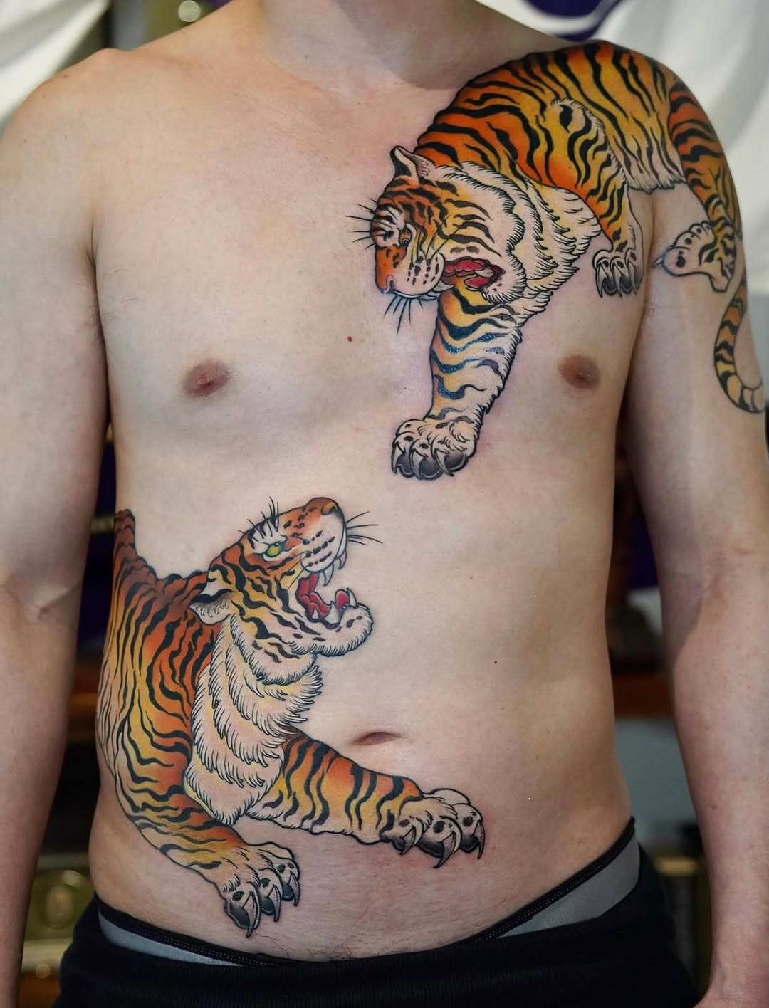Two tigers, three days, by @horiyotatt
