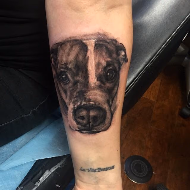 Dog portrait