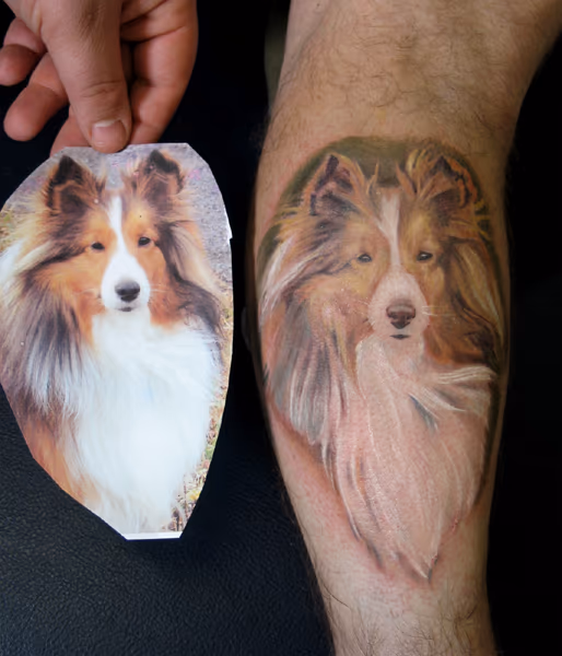 Another Dog Portrait