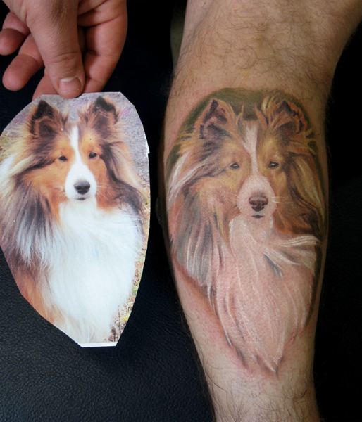 Another Dog Portrait