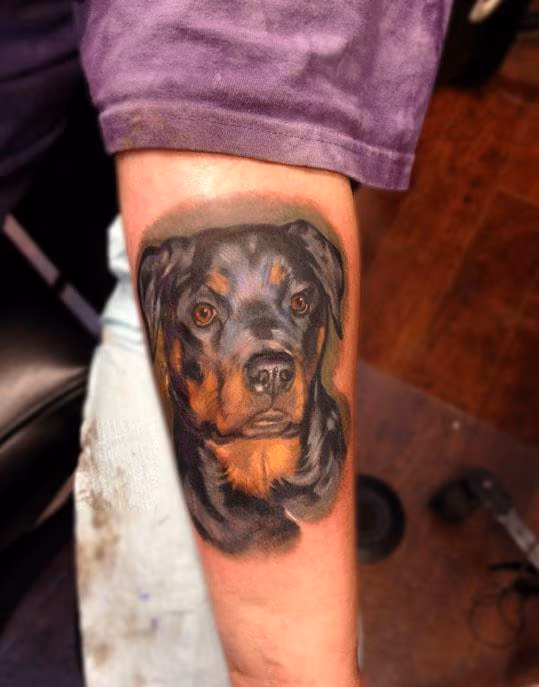 Rotty portrait