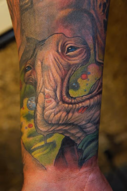 Hammerhead