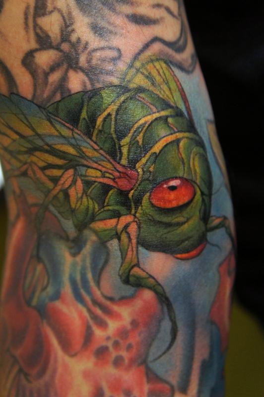 Cicada