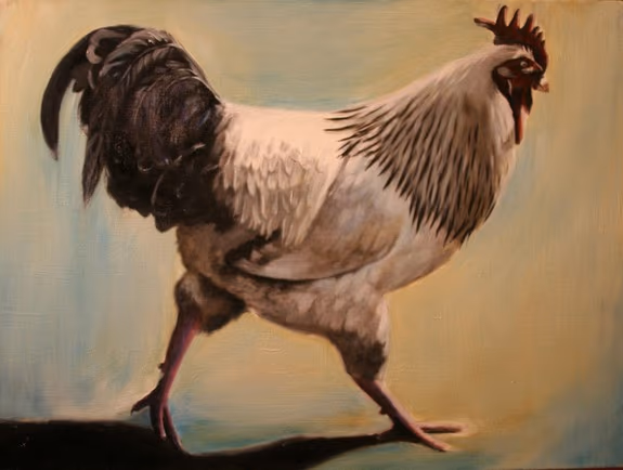 Rooster
