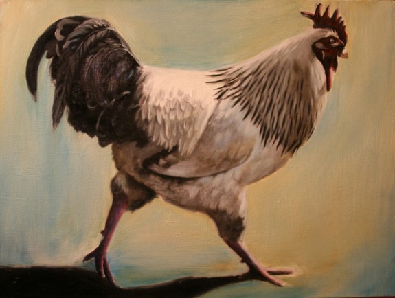 Rooster