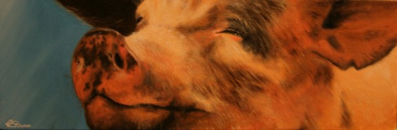 Pig