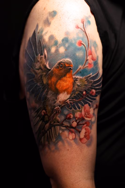 Robin and Cherry Blossoms