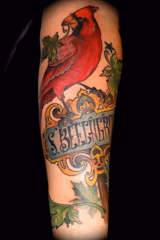 maple cardinal