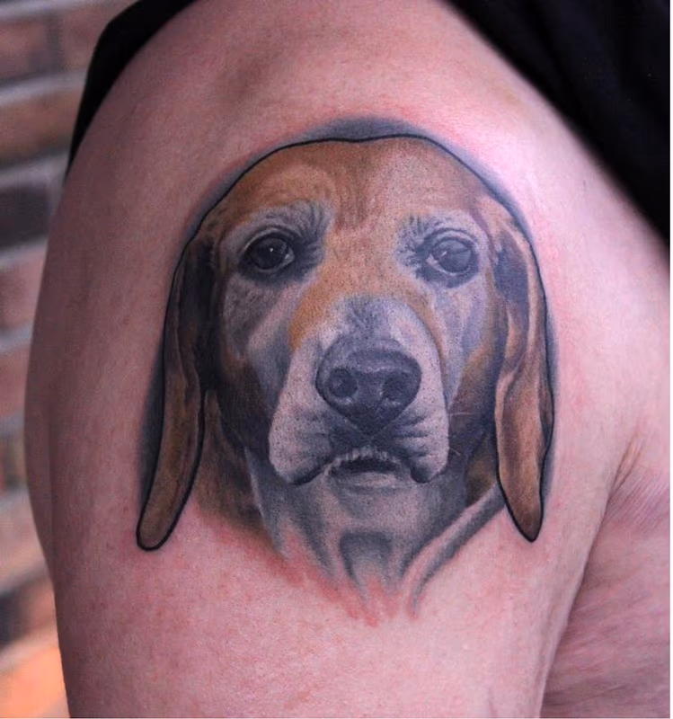 Dog Portrait