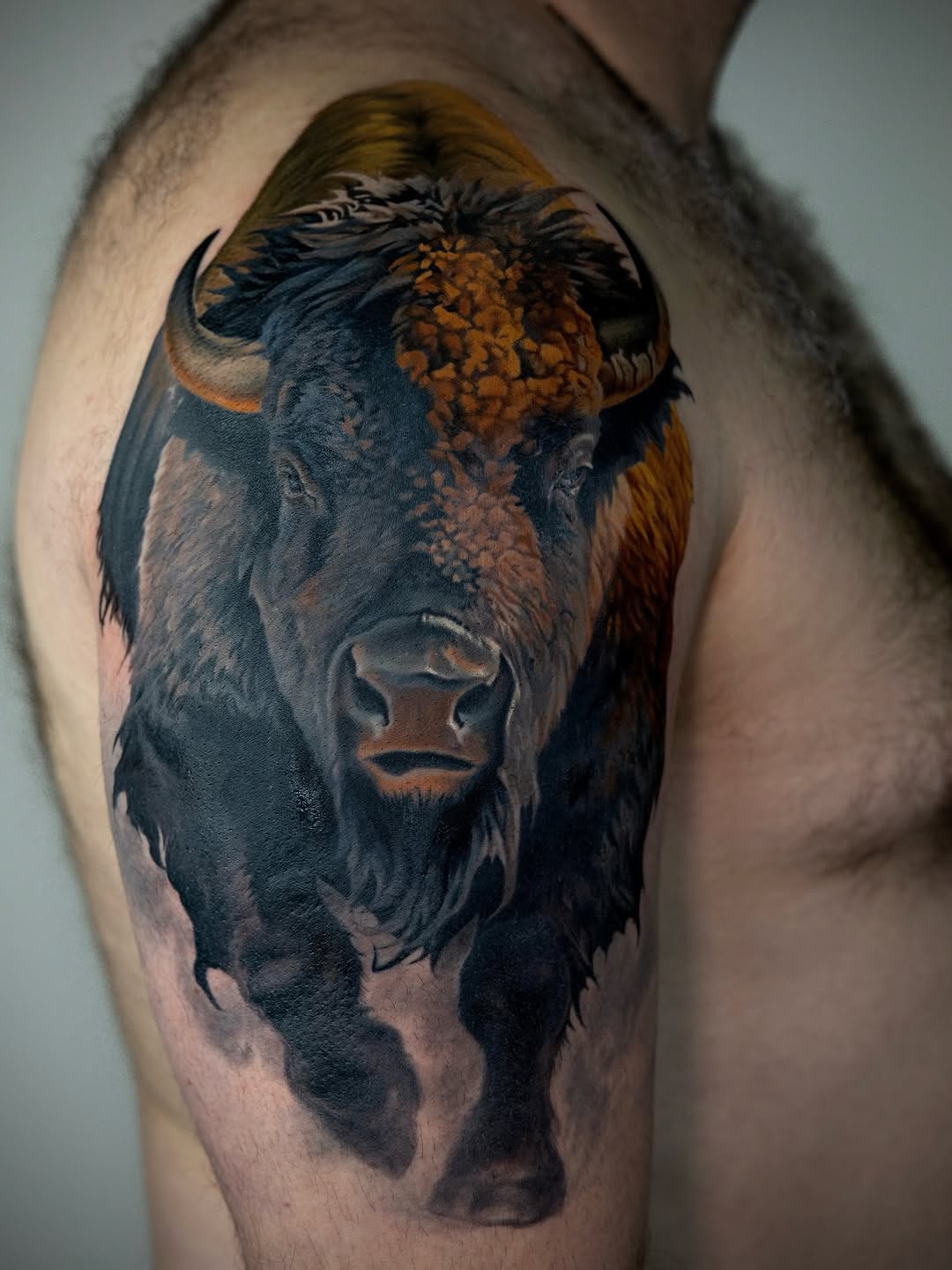 Bison portrait color tattoo, shoulder