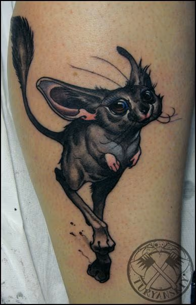 rodent mix