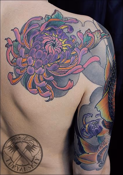 Chrysanthemum