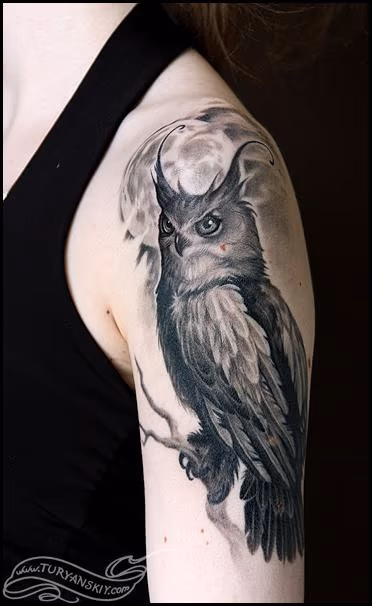 Owl