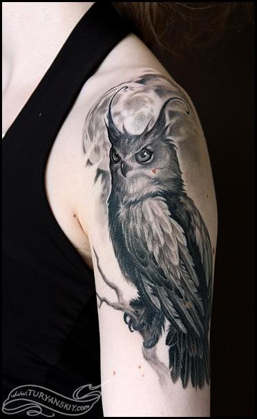 Owl