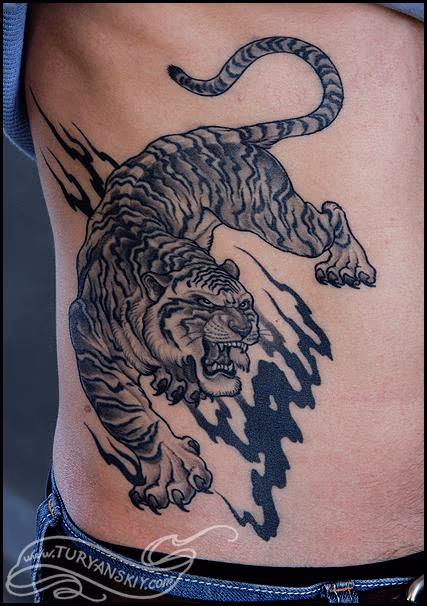 Oriental tiger