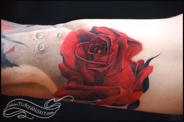 Rose zoom