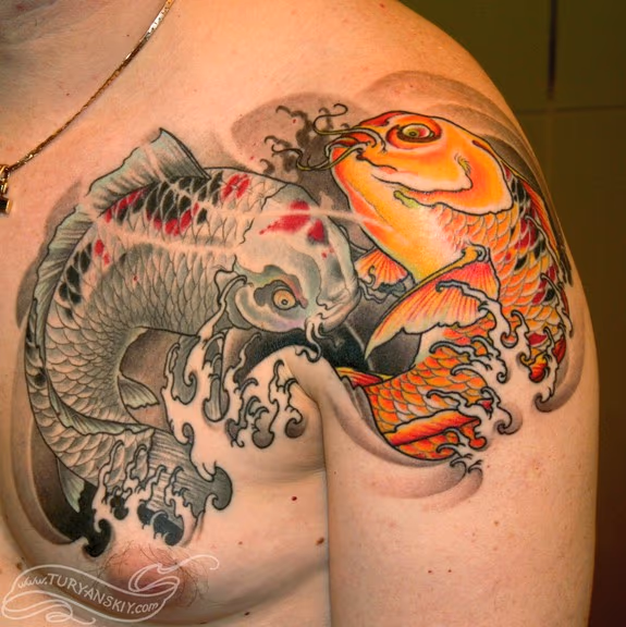 2 koi fishes