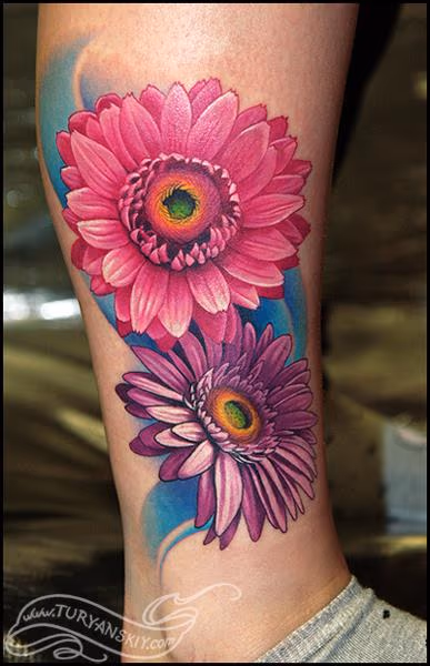 Gerbera daisy flowers