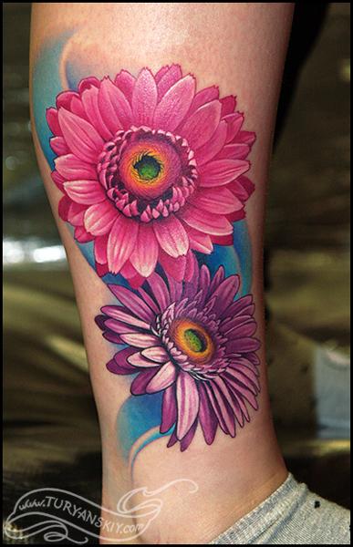Gerbera daisy flowers