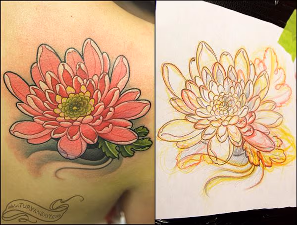 Chrysanthemum
