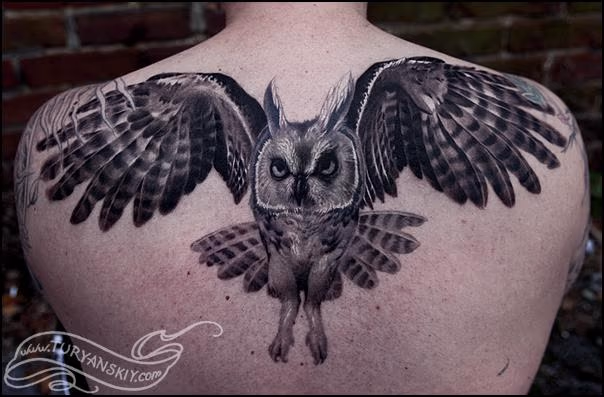 Owl