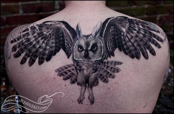 Owl