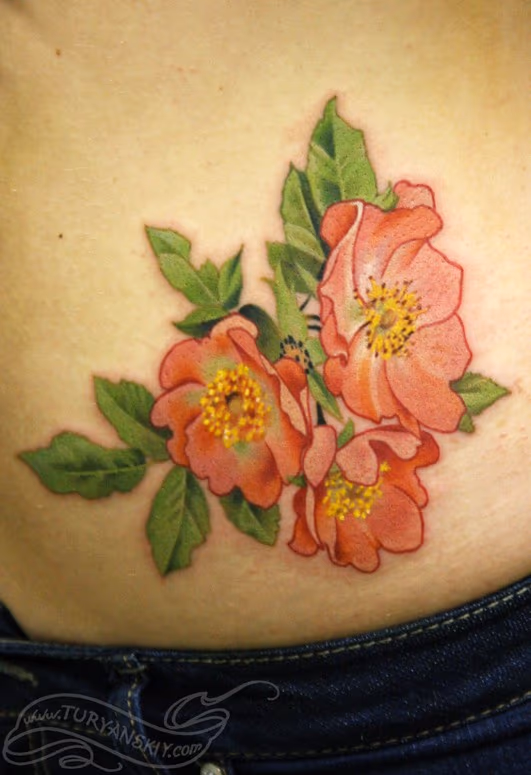 Dogrose flowers